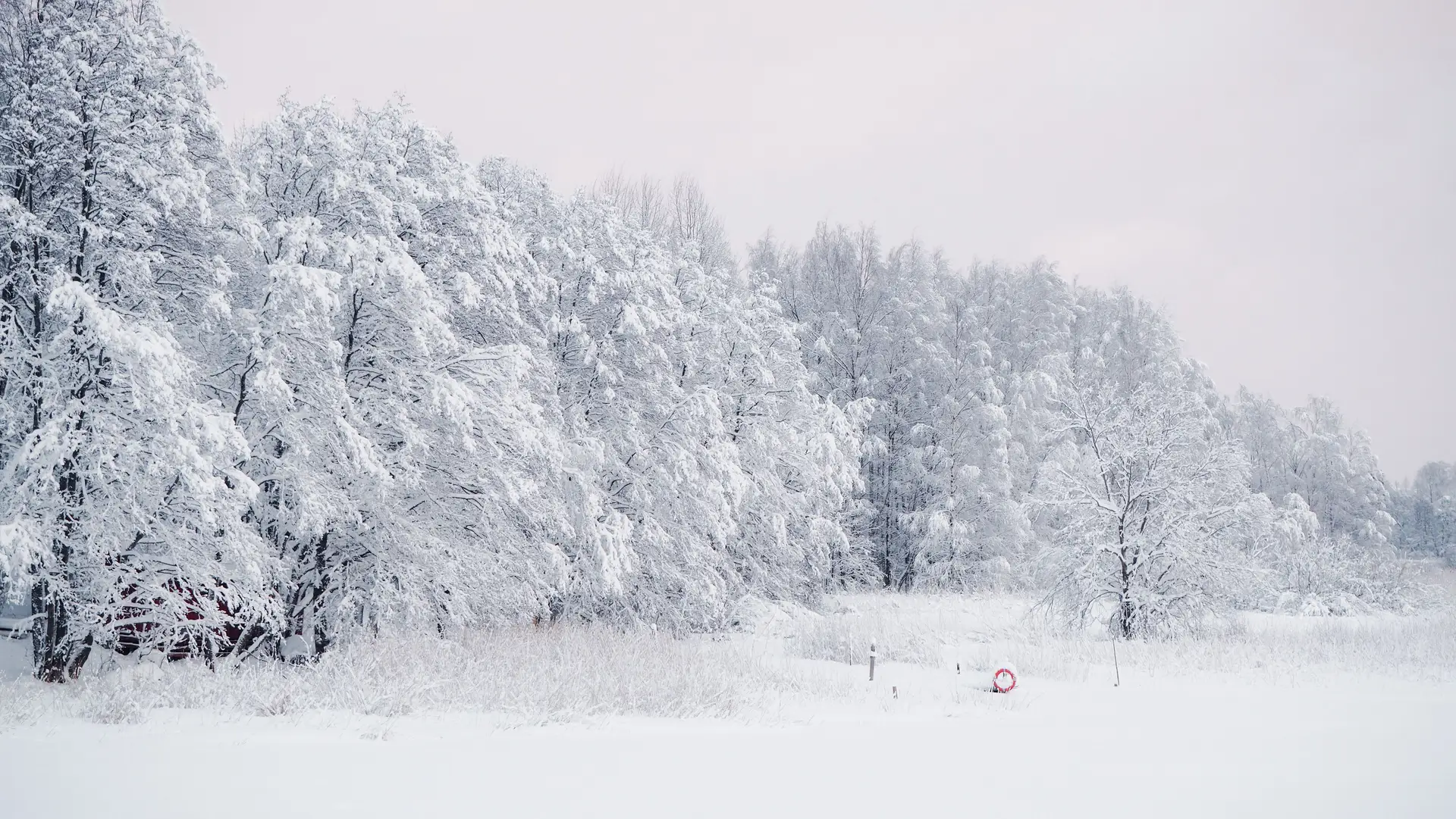 Lumen hiljaisuus näyttelykuva