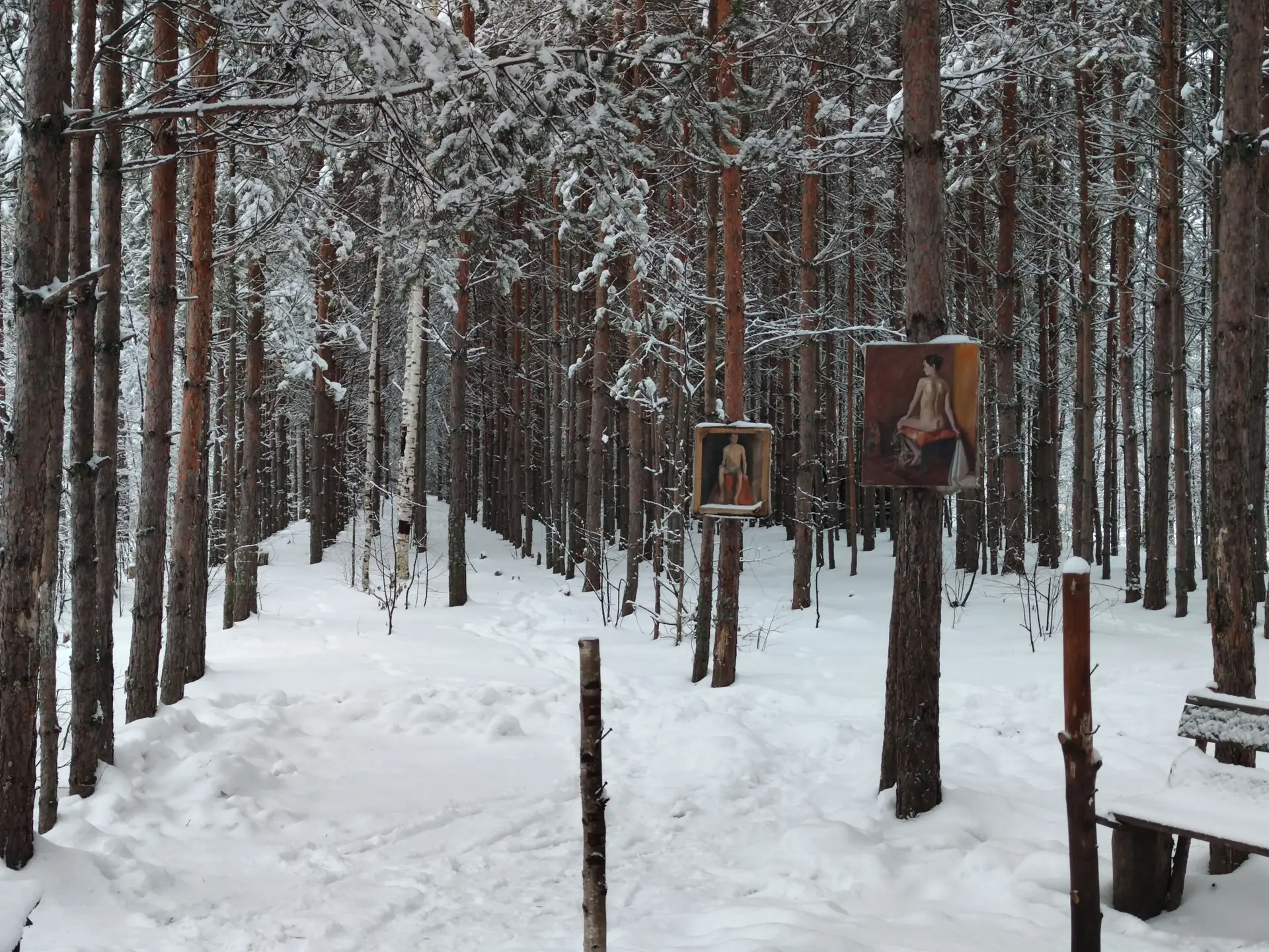 Taidegrafiikka