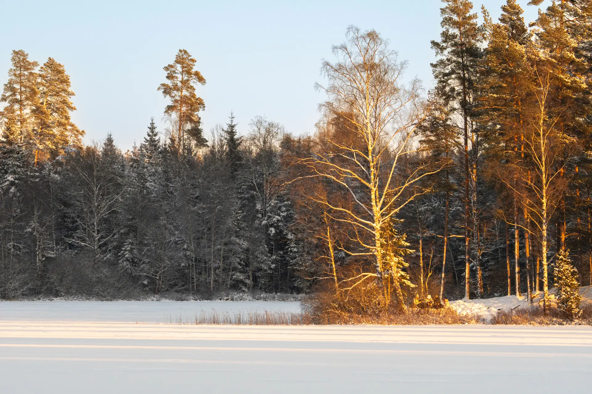 Kultainen hetki