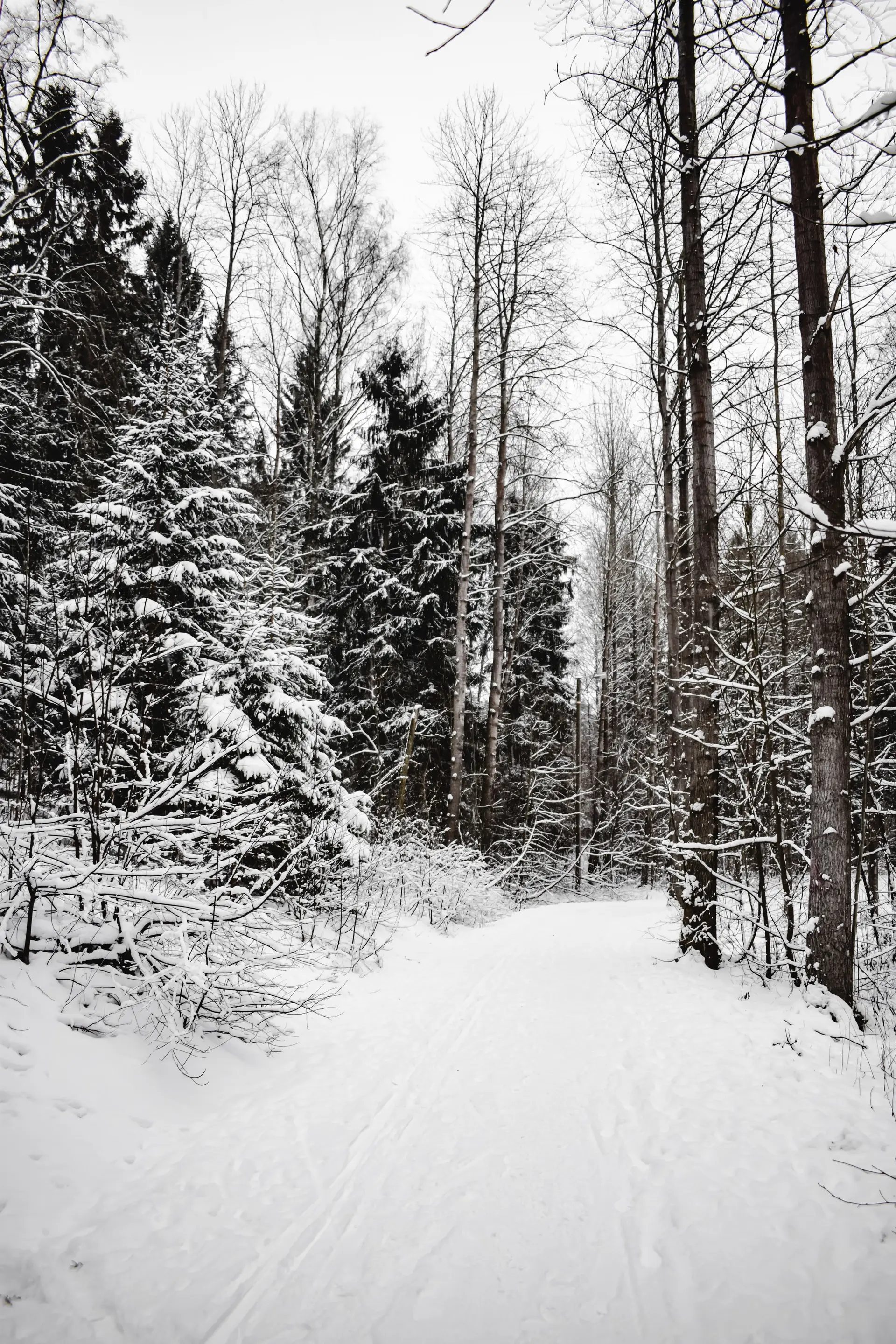 Helsingin talvipolku