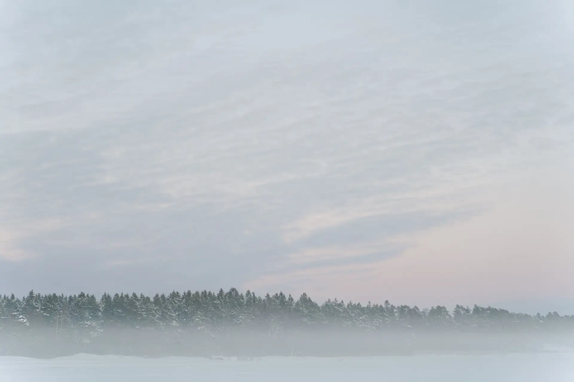 Sumuinen aamu